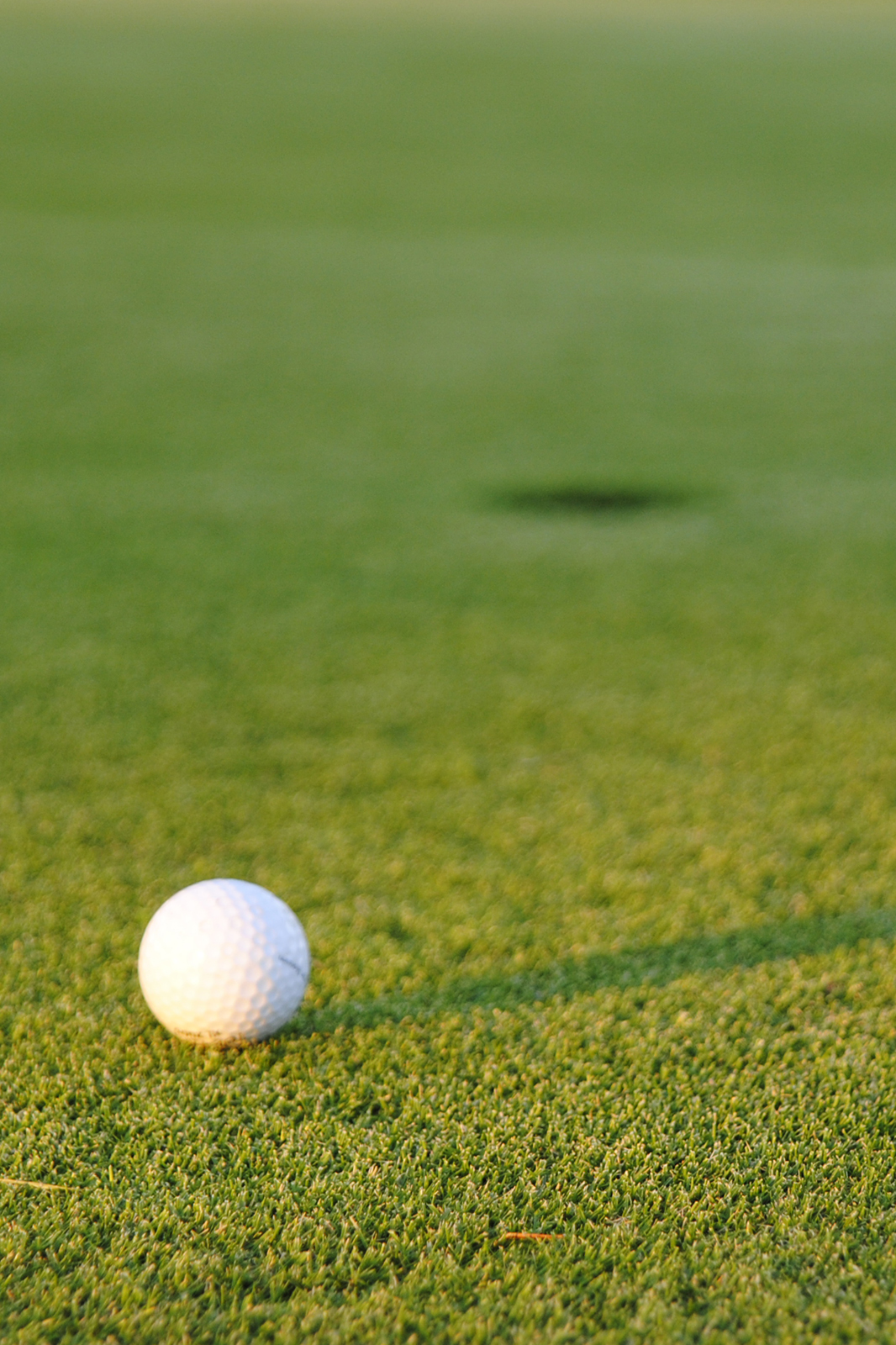 girl chipping at green