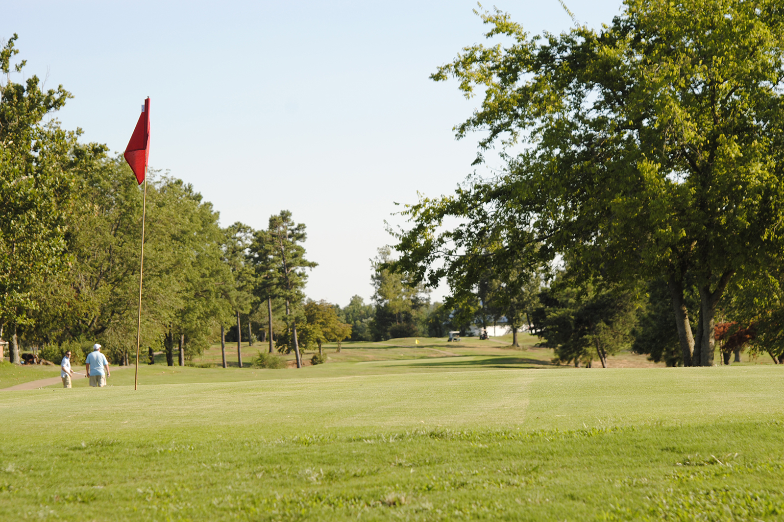 ball on green