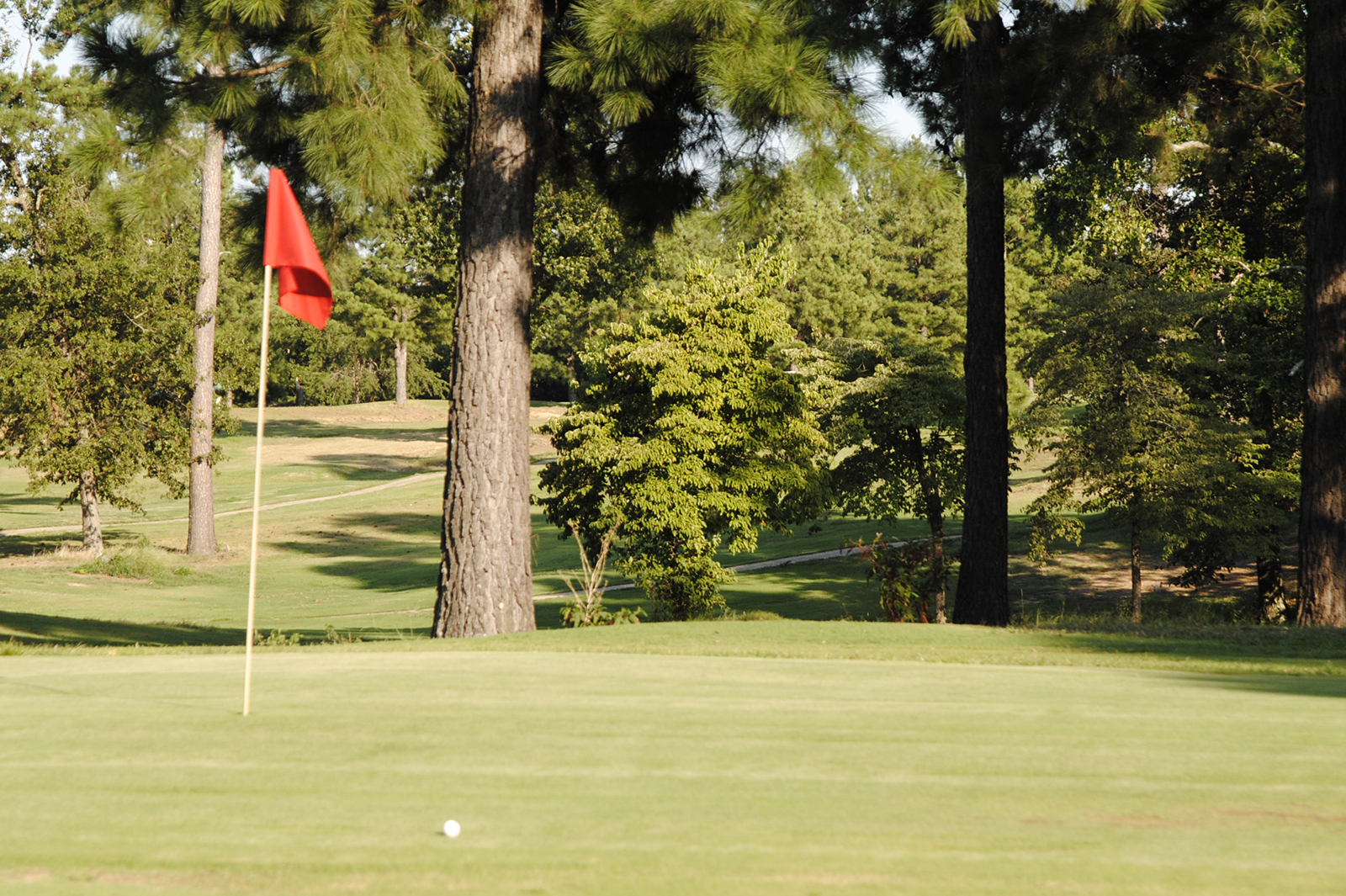 ball on green