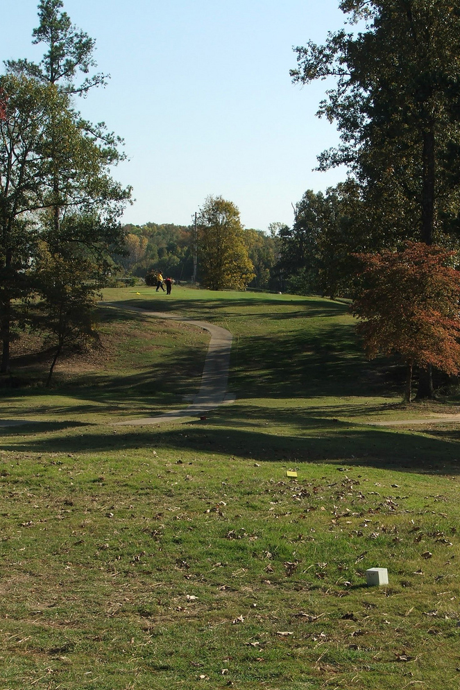 girl chipping at green