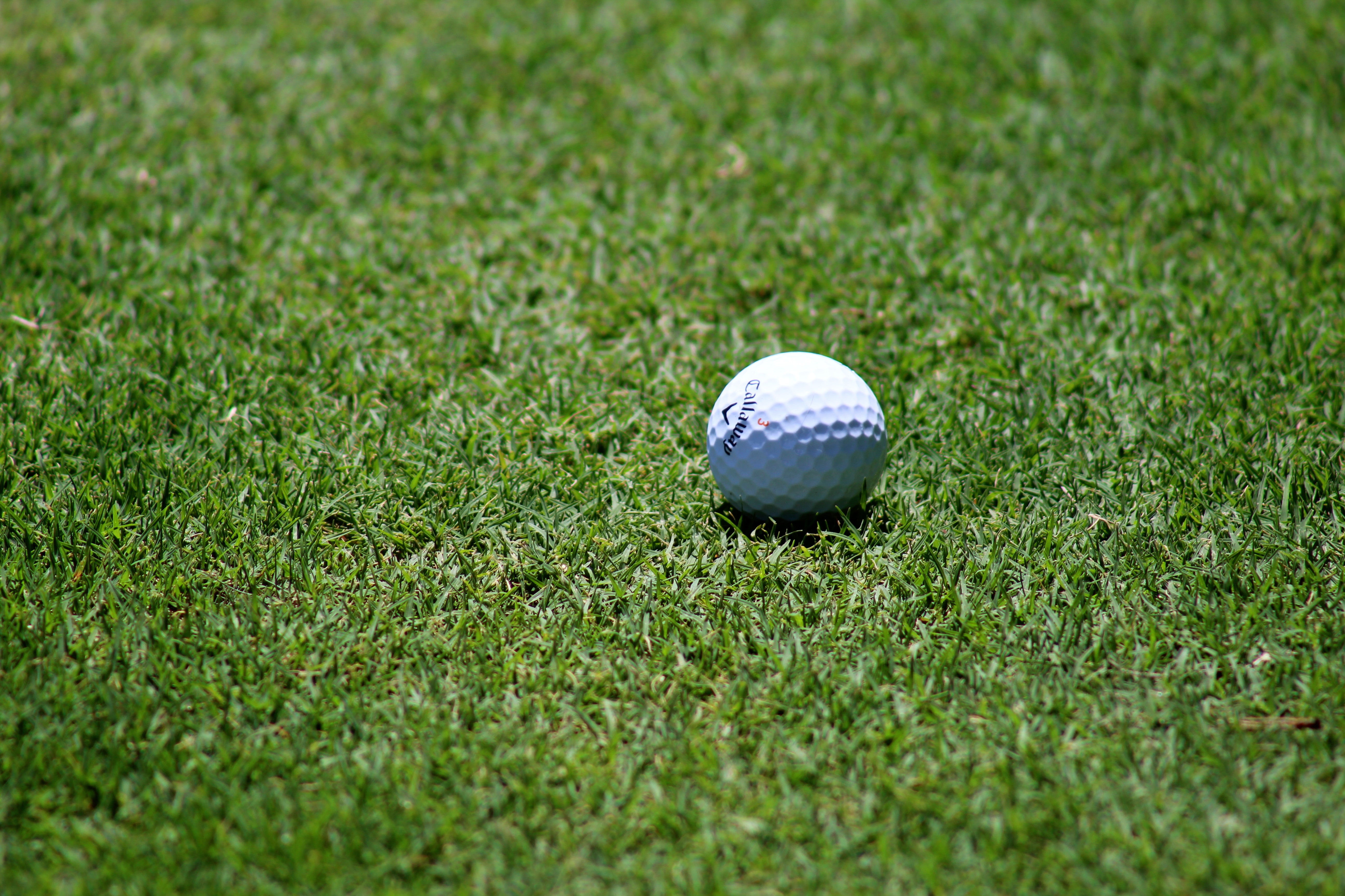 ball on green